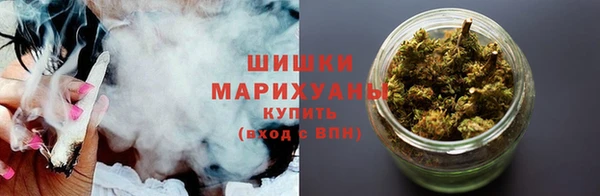 гидра Белоозёрский