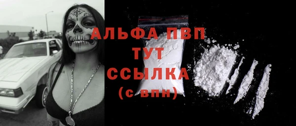 прущие грибы Белокуриха