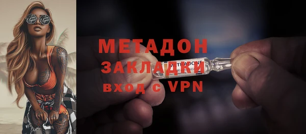 прущие грибы Белокуриха