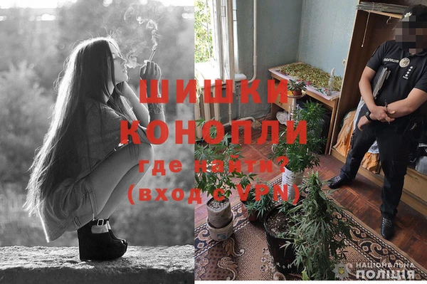 гидра Белоозёрский