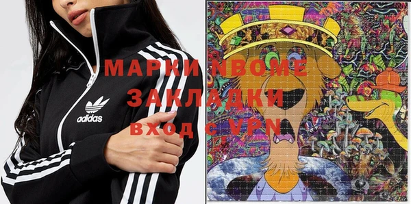 прущие грибы Белокуриха