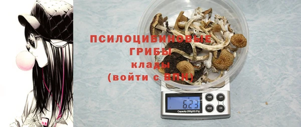 гидра Белоозёрский